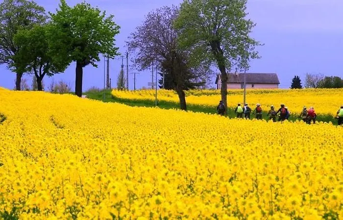 Apartman Le Du Parc Beaune