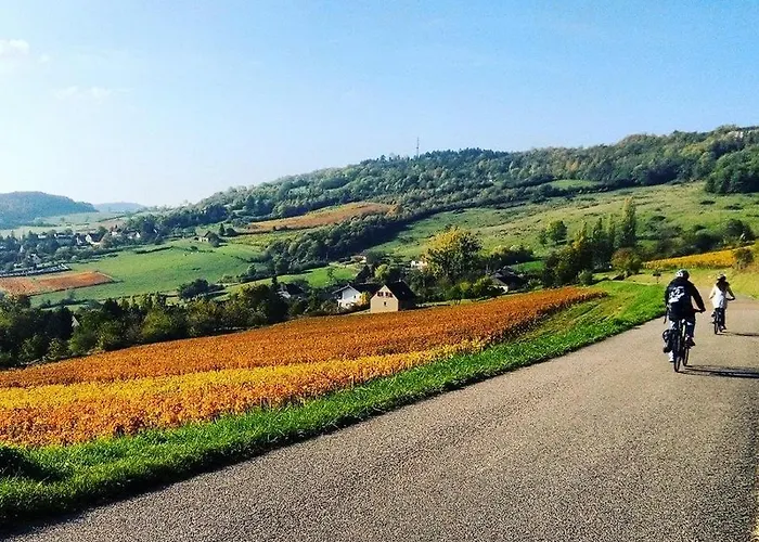 Le Du Parc Apartman Beaune